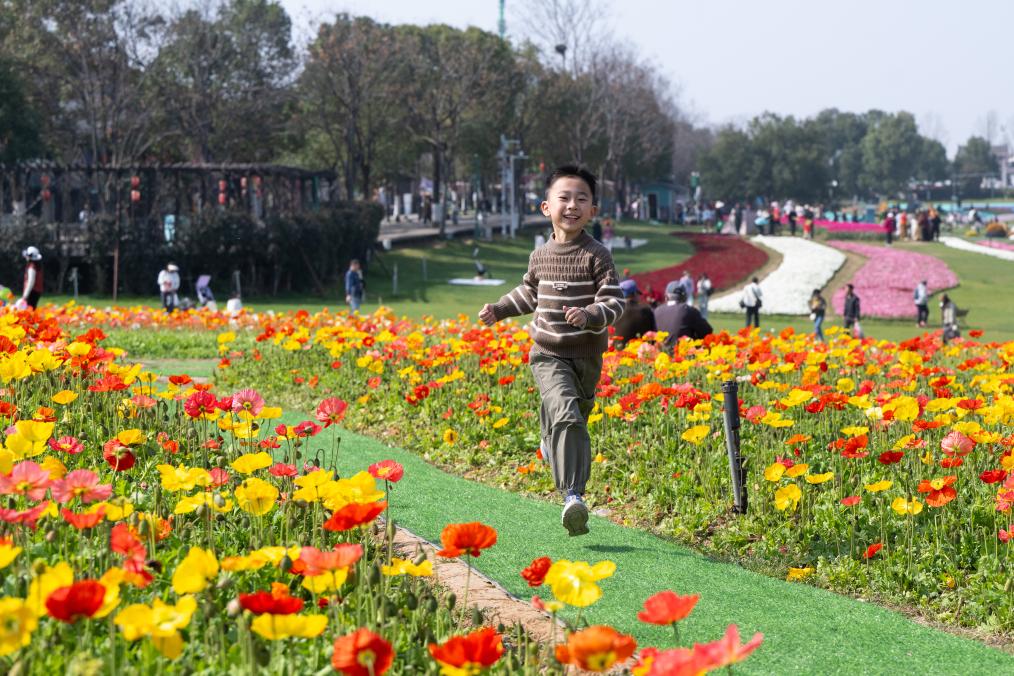 踏春赏花，从“看风景”到“深体验”(图3)