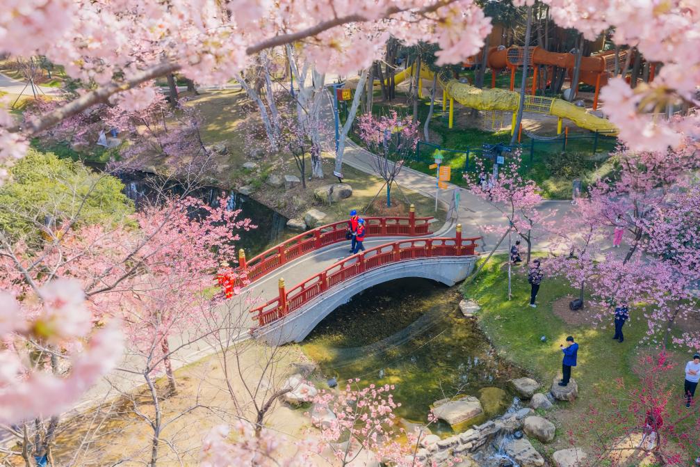 踏春赏花，从“看风景”到“深体验”(图4)