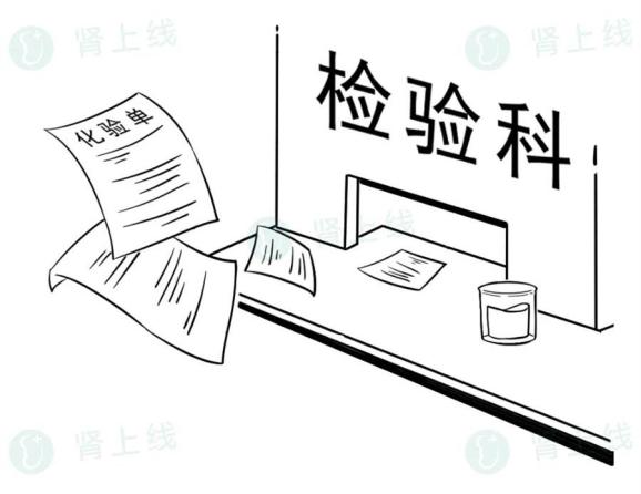 肾病不是肾虚，也不是必然得尿毒症，如何狙击“沉默的杀手”？(图6)