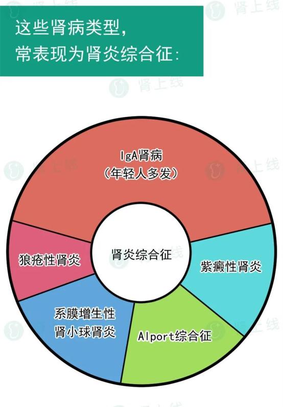 肾病不是肾虚，也不是必然得尿毒症，如何狙击“沉默的杀手”？(图7)