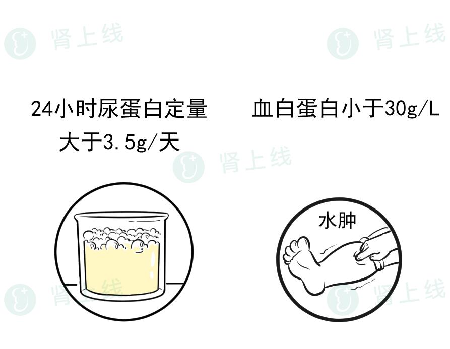 肾病不是肾虚，也不是必然得尿毒症，如何狙击“沉默的杀手”？(图8)