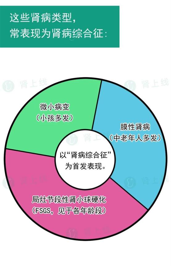 肾病不是肾虚，也不是必然得尿毒症，如何狙击“沉默的杀手”？(图9)