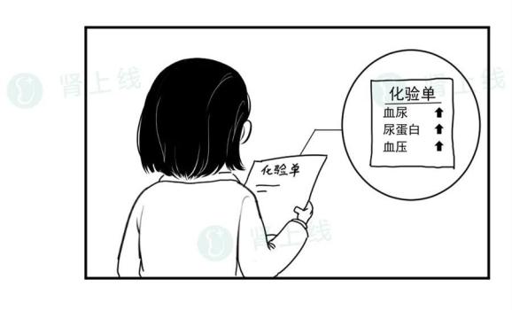 肾病不是肾虚，也不是必然得尿毒症，如何狙击“沉默的杀手”？(图10)