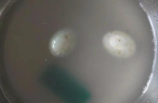 腌咸蛋的传统做法，不用裹泥不用盐水，28天流油起沙(图5)