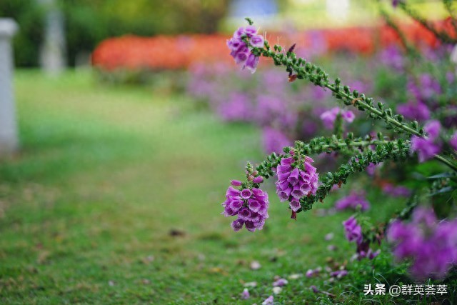男人对于断联后不纠缠的女人，想法就四个字(图1)