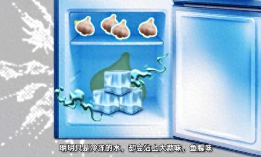 冰箱怪味难除？老保姆3招彻底赶走，比放柠檬皮管用