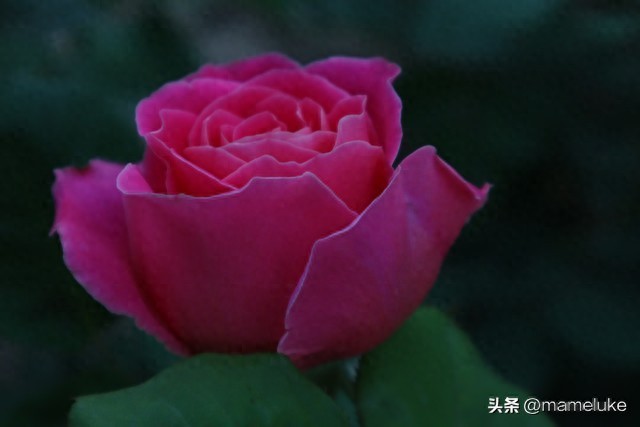 男人对于断联后不纠缠的女人，想法就四个字