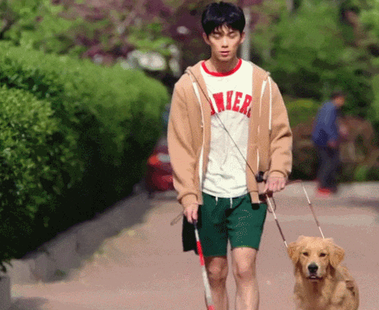5万美元的导盲犬，要被2000美元的开源机器狗顶替了?