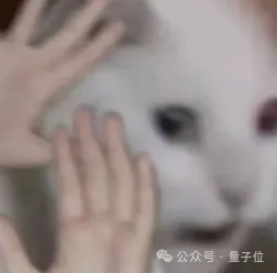 PDF当死，ARA该立！论文是时候Agent原生了(图1)