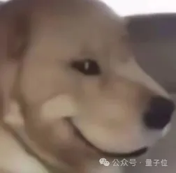 PDF当死，ARA该立！论文是时候Agent原生了(图10)
