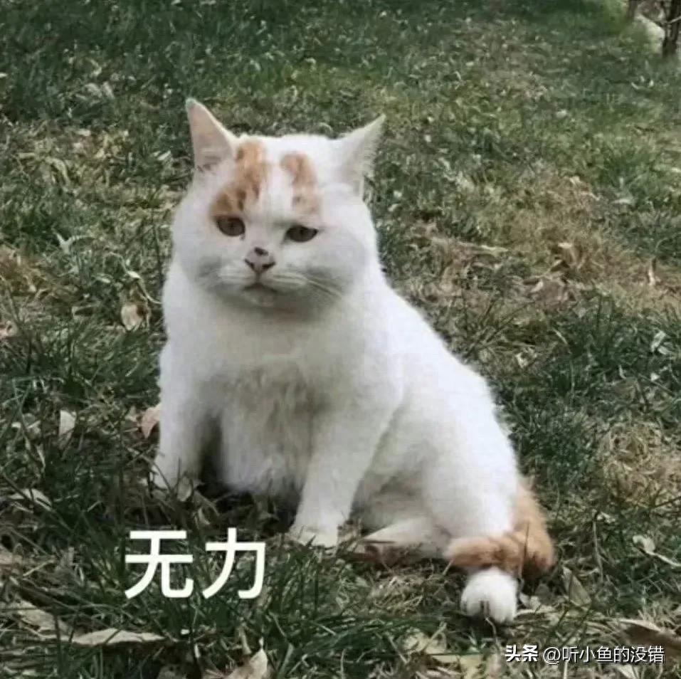 重装10个实用设计！踩坑后总结的装修干货，全是过日子的真实经