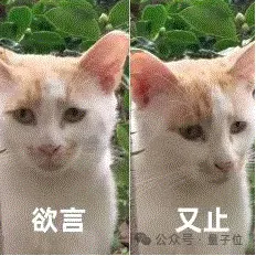 Anthropic CEO整天神神叨叨,投资人受不了了(图9)