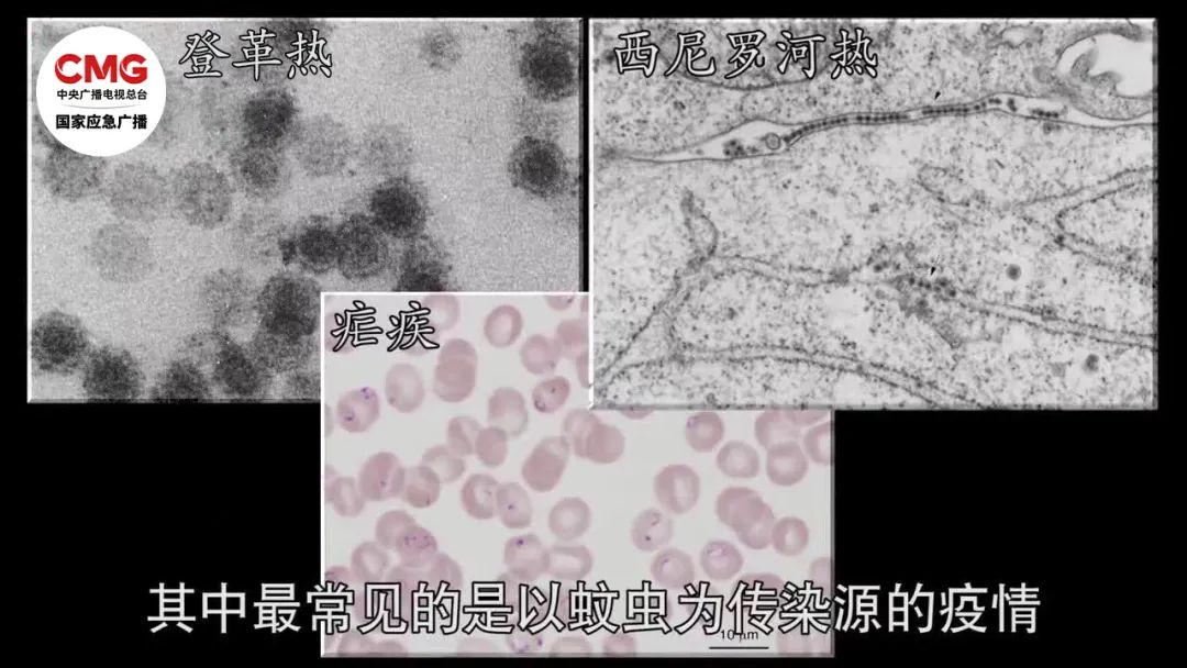 暴雨过后必看！这7类食物一口都别碰(图5)