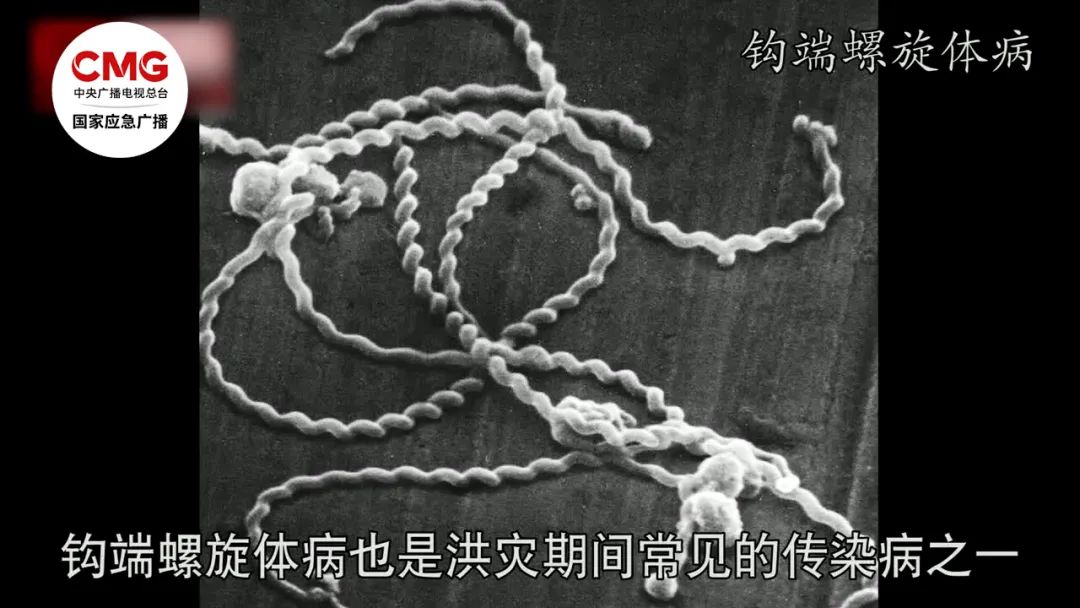 暴雨过后必看！这7类食物一口都别碰(图6)