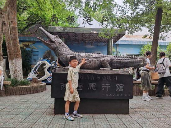 合肥市长幼教育集团园长妈妈对您说：假期里幼儿如何养成好习惯(图2)