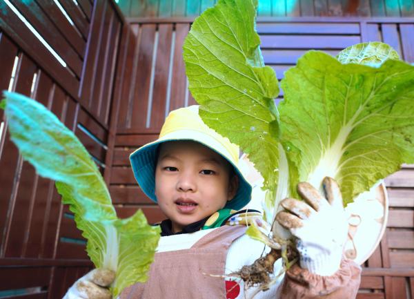 从园所到家庭，如何让最柔软人群吃得健康，普陀率先试点全天候营养膳食全覆盖(图3)