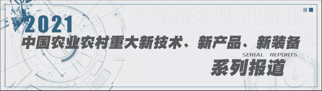 2021中国农业农村重大新装备 | 全自动蔬菜钵苗移栽成套设备(图1)