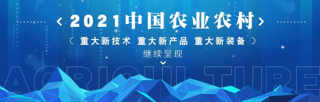 2021中国农业农村重大新装备 | 全自动蔬菜钵苗移栽成套设备(图9)