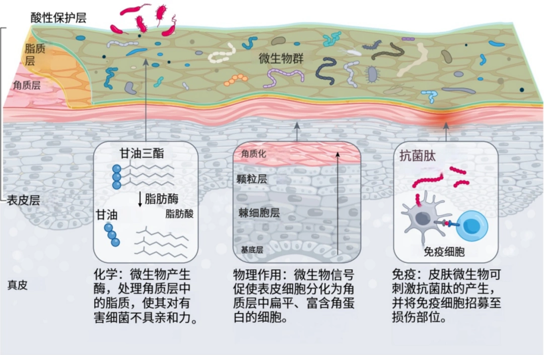 你的护肤方式选对了吗？日常护理先做好这3件“小事”