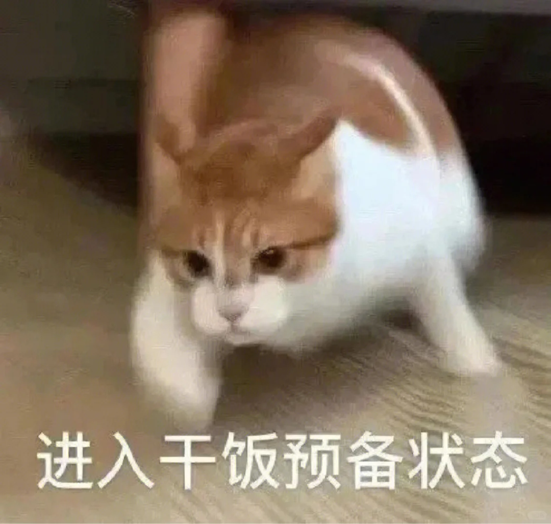 中华美食荟逛吃全攻略：在银川来场舌尖上的风味奇遇(图2)