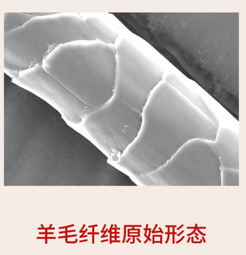 无用的生活小妙招，别费劲尝试了（羊毛衫篇）(图3)