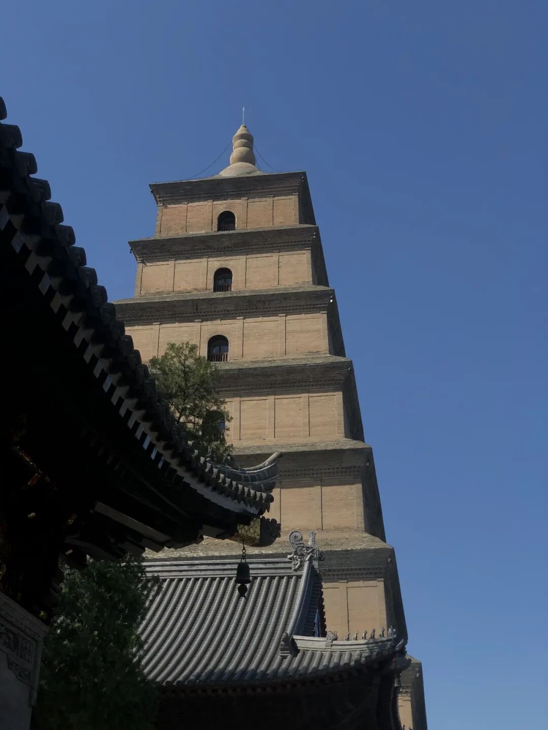 西安美食流水账 | 如何在36小时吃遍碳水之都(图12)