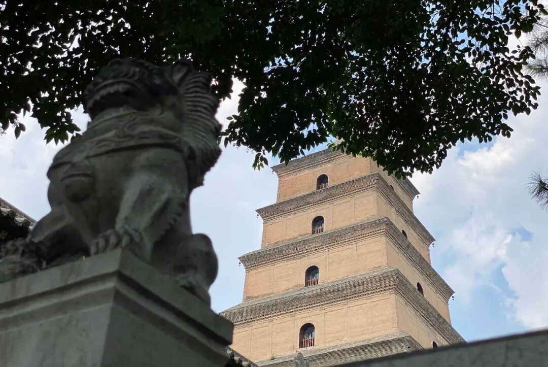 西安美食流水账 | 如何在36小时吃遍碳水之都(图16)