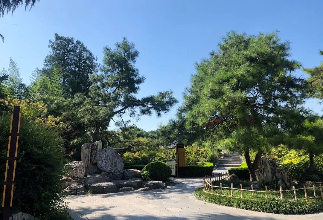 西安美食流水账 | 如何在36小时吃遍碳水之都(图18)