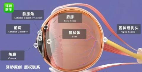 7个睡眠坏习惯,小心变胖又变丑(图1)