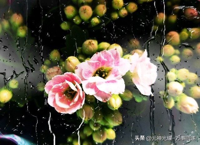 职场像狂风暴雨，婚姻却像娇嫩花朵：别让压力毁了感情(图3)