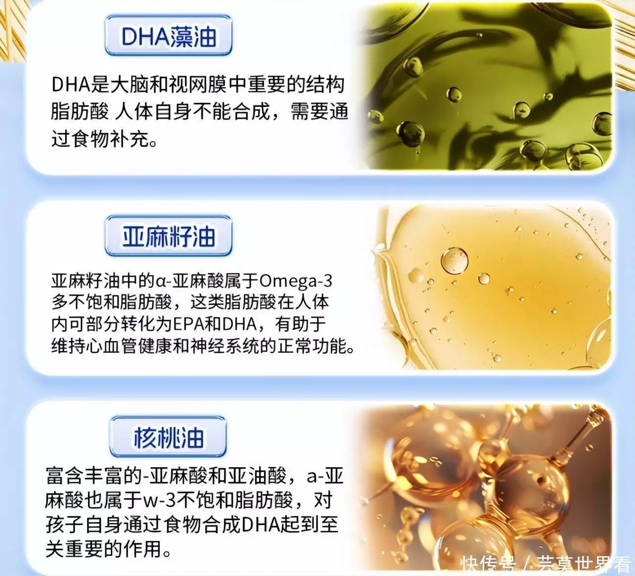 哪款DHA吃了对儿童脑部发育好，合规认证十大DHA品牌排名，助力脑发育提记忆(图5)