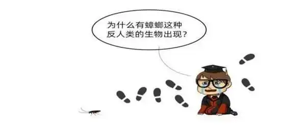 九成人不知蟑螂“克星”，教你1招，蟑螂“一夜不见”(图4)
