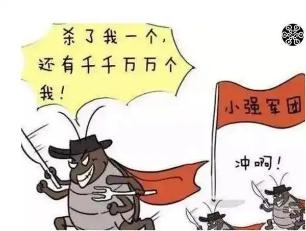 家里蟑螂频出，无法根除？教你1招，蟑螂“一网打尽”(图3)