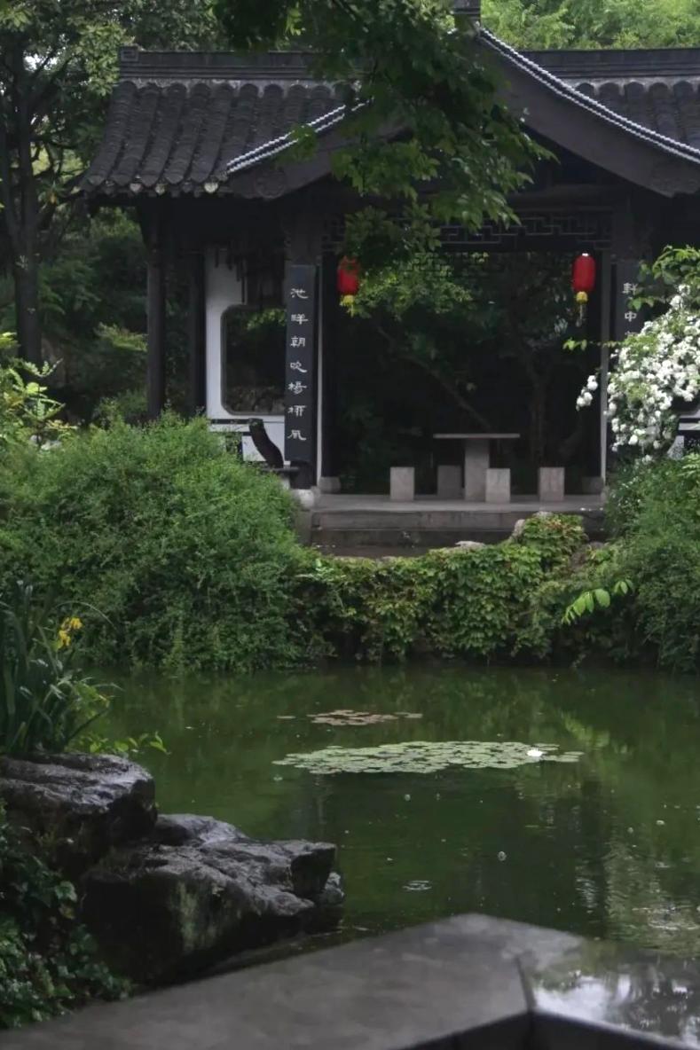 紧邻两大美食之都，藏着一个便宜又好吃的小城