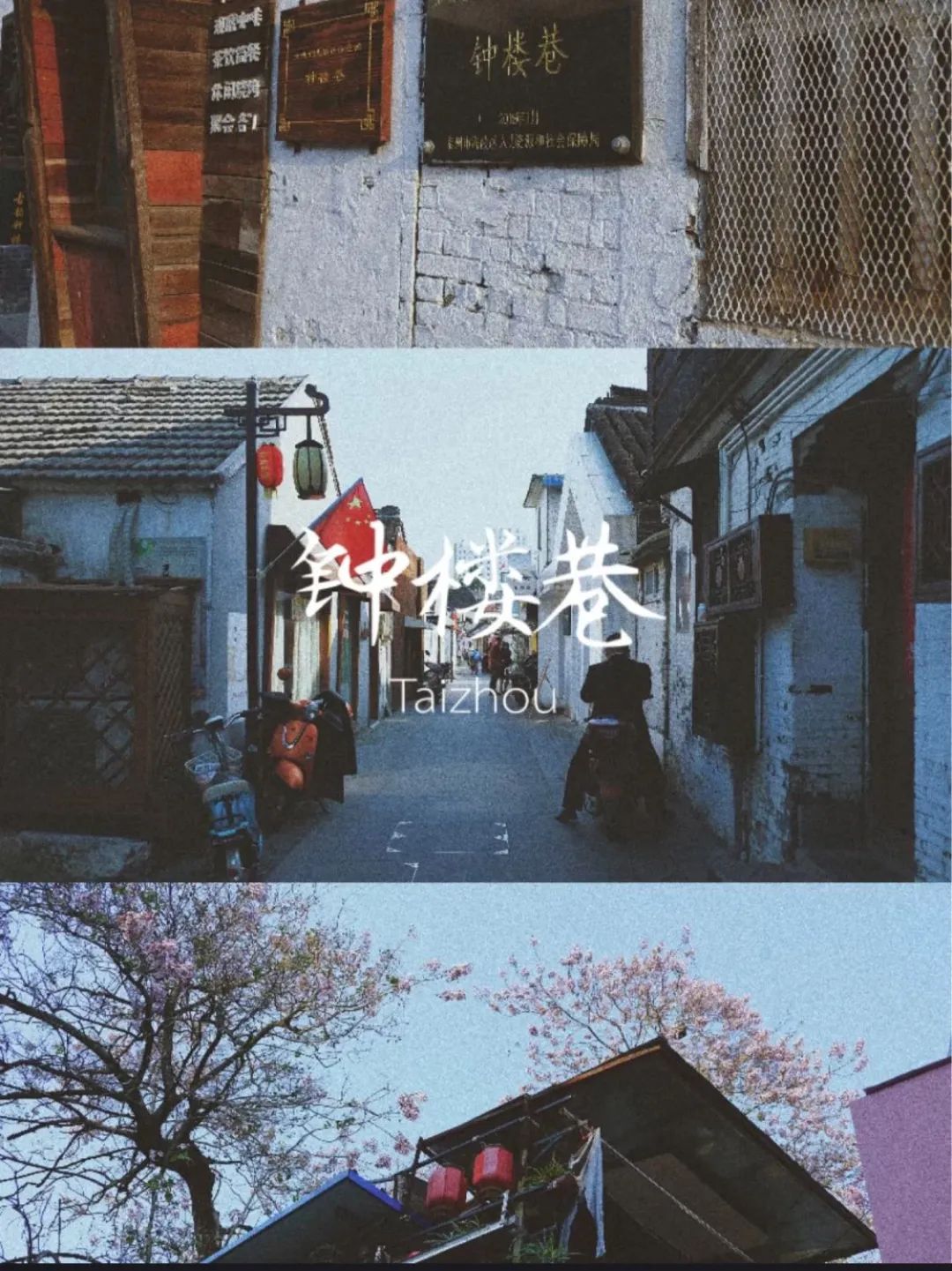 紧邻两大美食之都，藏着一个便宜又好吃的小城(图15)