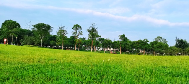遇到职场小人别硬刚，学会这三招“降维打击”，让他吃瘪(图4)