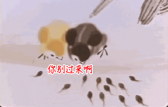 “事后吃了紧急避孕药，怎么会怀孕？”(图6)