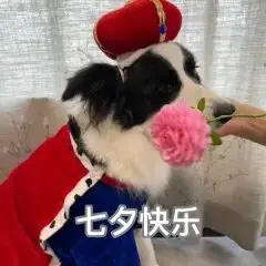 急！七夕忘戴“套套”了，吃紧急避孕药有用吗？(图2)