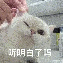 急！七夕忘戴“套套”了，吃紧急避孕药有用吗？(图19)