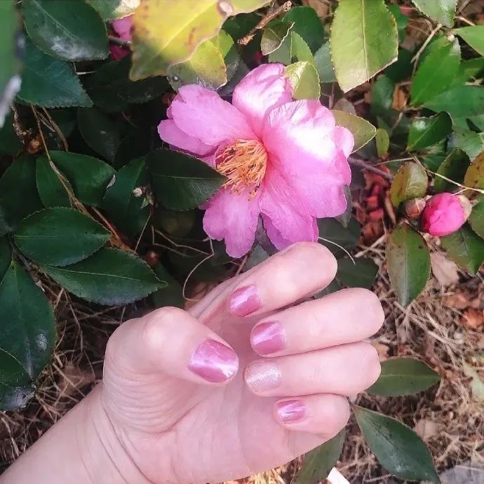 你有过美甲翻车的经历吗?(图11)