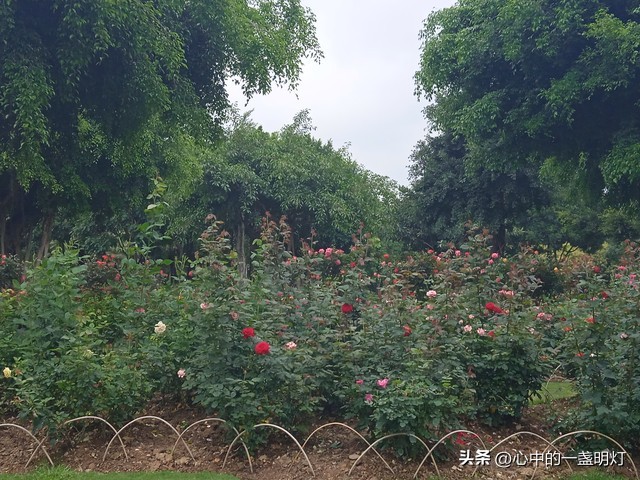 很多女人想不通，为什么男人一旦离了婚，宁可孤独终老也不愿复婚(图3)