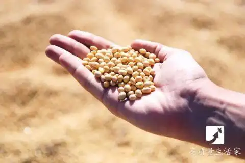 痛风的“帮凶”找到了！这5类食物一定要少吃，否则尿酸很难降下来(图4)