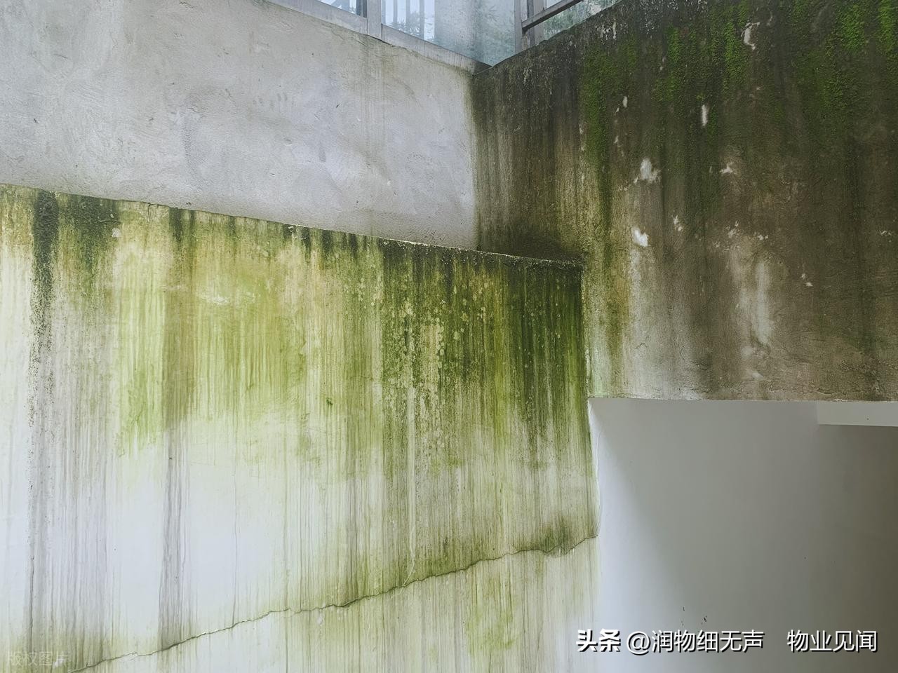 小区外墙渗水谁负责？一文讲清责任与钱从哪来(图4)