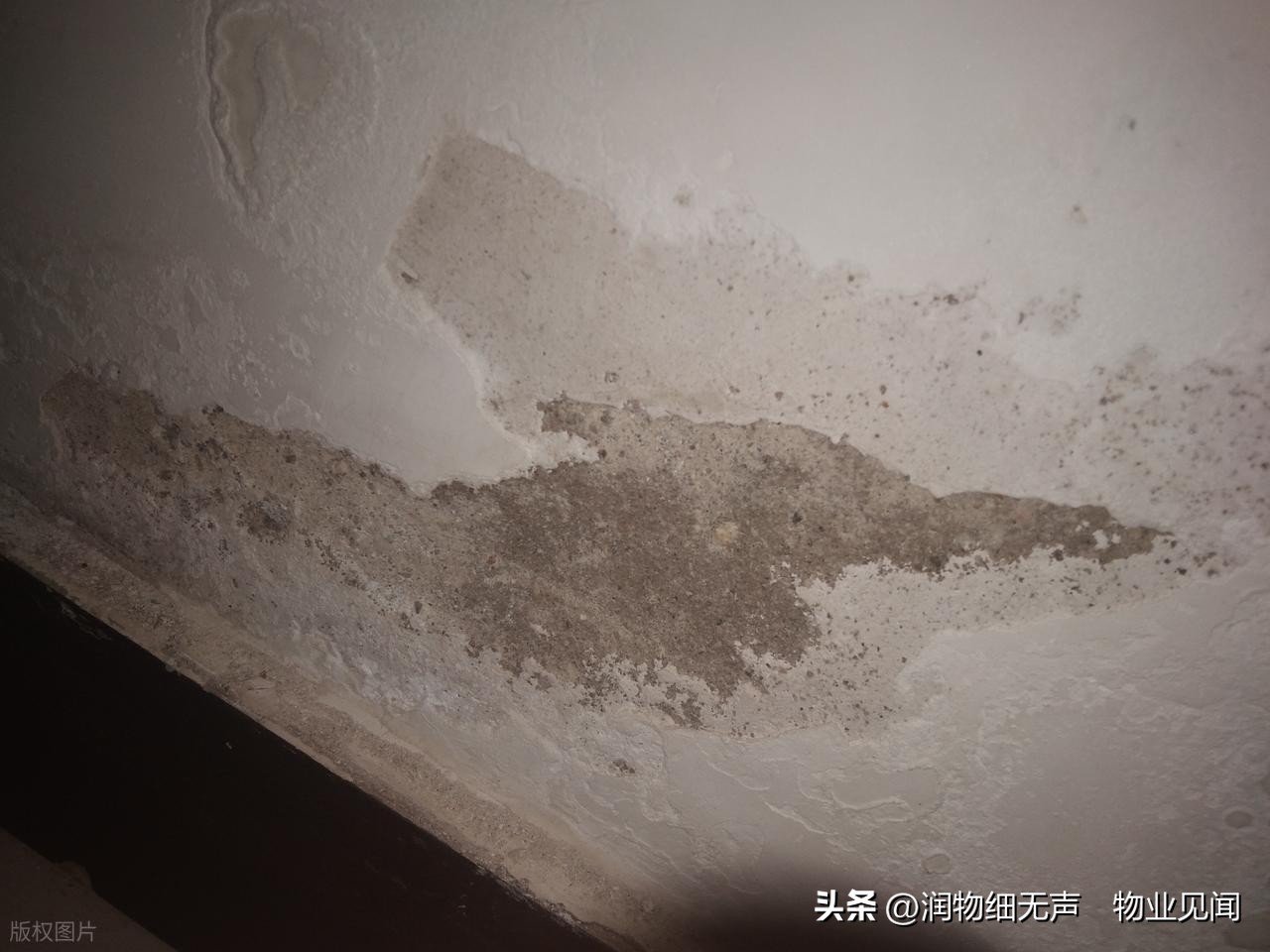 小区外墙渗水谁负责？一文讲清责任与钱从哪来(图5)