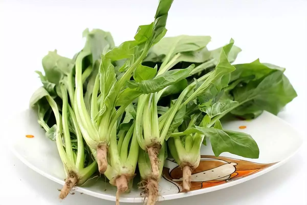 想健康减肥却不知道怎么做？这份饮食+运动指南，避开所有雷区(图2)