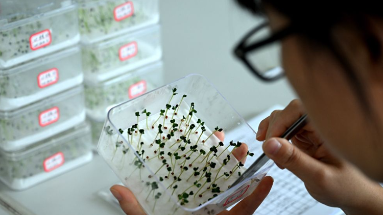 这些食物可能是结节“催化剂”，这几类人要管住嘴(图2)