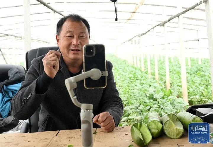 上了直播的沙窝萝卜，为何能够“赛鸭梨”？｜新春走基层