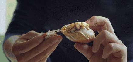 哪种味道最能触动你的味蕾？(图19)