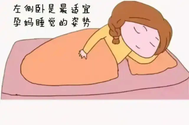 怀孕后的可为和不可为(图10)