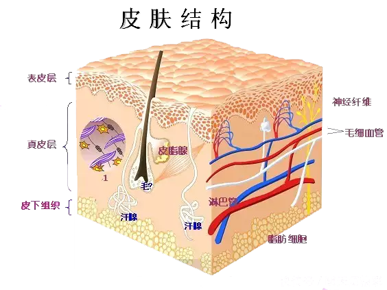 孕期护肤，这些成分要避开！(图3)